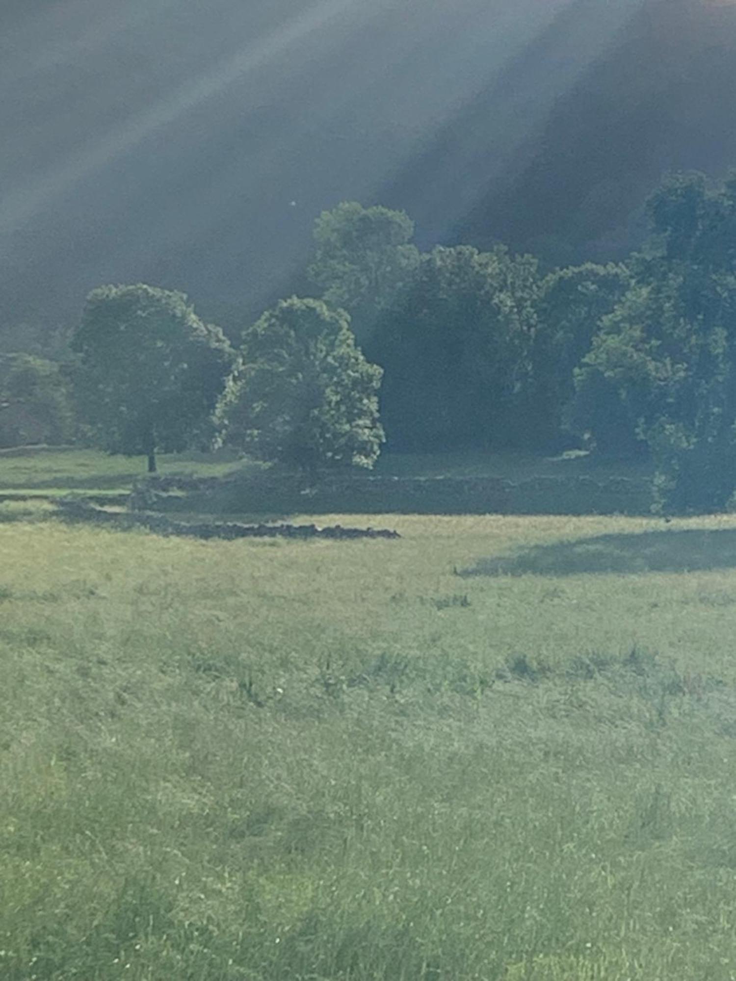 Remanso Del Rio Saja Villa Renedo De Cabuerniga Buitenkant foto