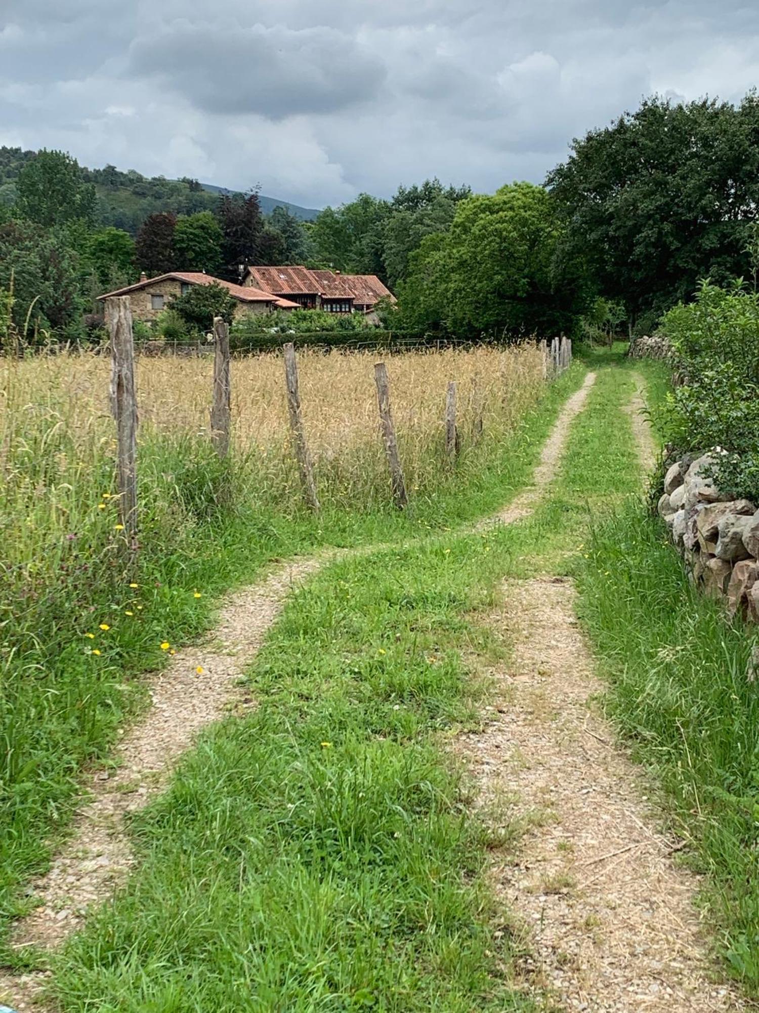 Remanso Del Rio Saja Villa Renedo De Cabuerniga Buitenkant foto