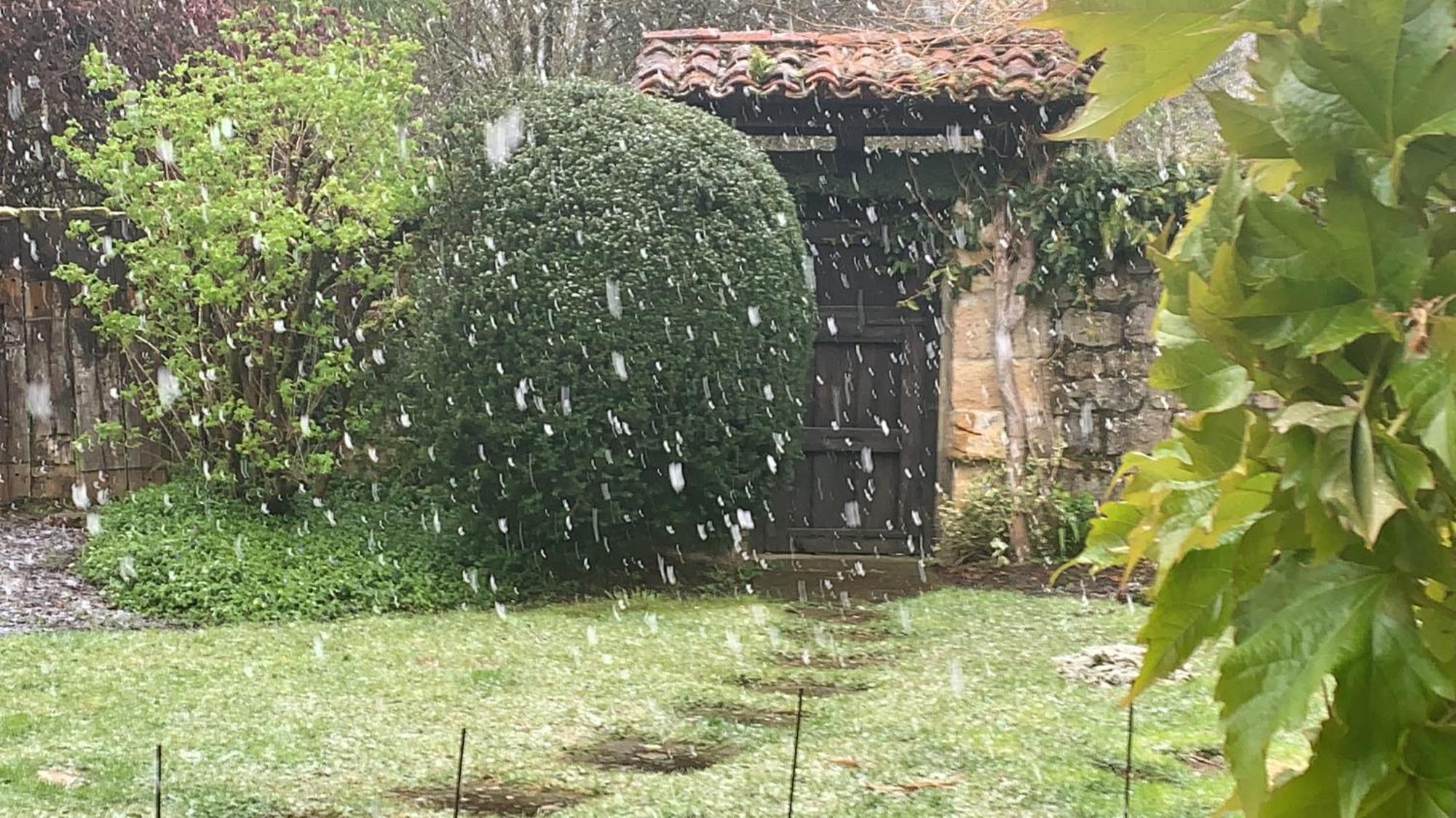 Remanso Del Rio Saja Villa Renedo De Cabuerniga Buitenkant foto