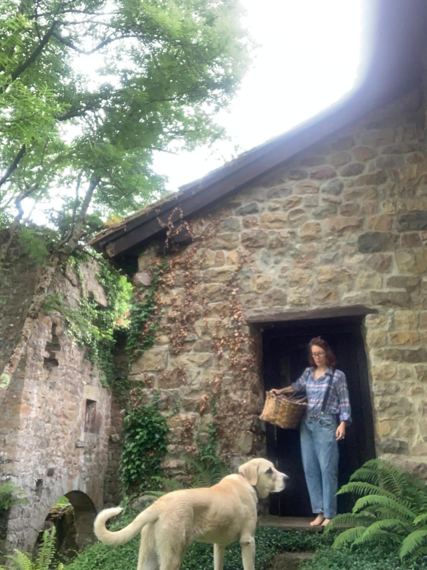 Remanso Del Rio Saja Villa Renedo De Cabuerniga Buitenkant foto