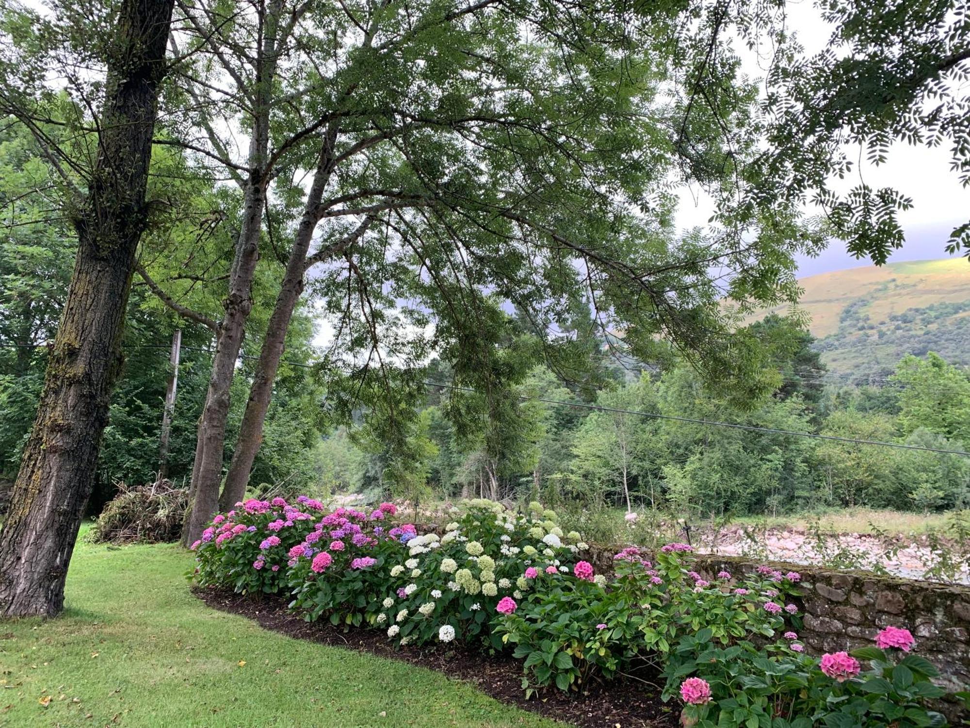 Remanso Del Rio Saja Villa Renedo De Cabuerniga Buitenkant foto
